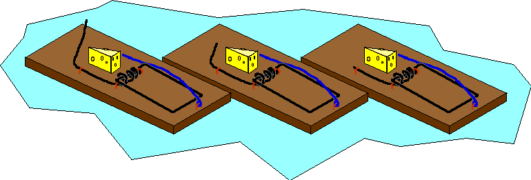 A reducibly complex mousetrap mousetrap9 A reducibly complex mousetrap